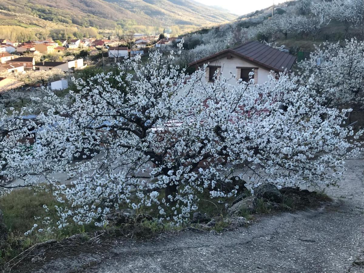 La Gargantilla Jerte Zewnętrze zdjęcie