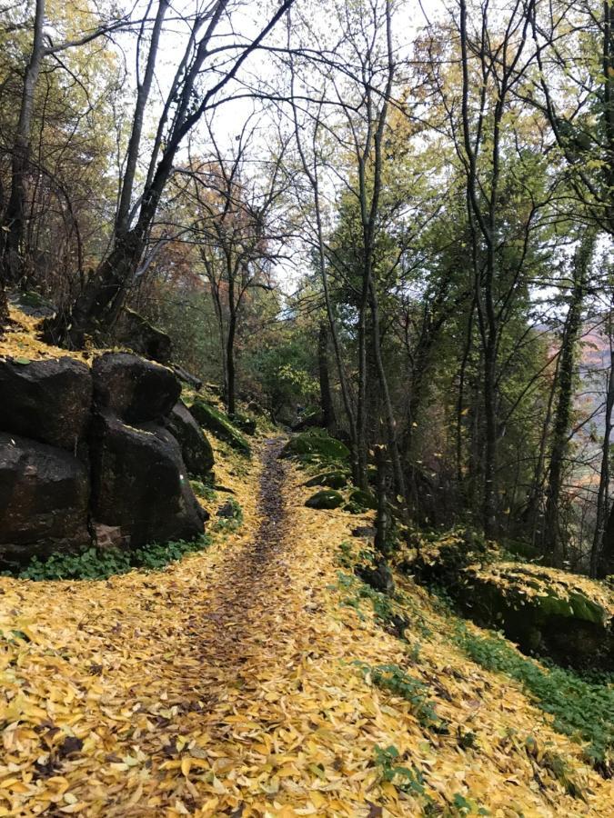 La Gargantilla Jerte Zewnętrze zdjęcie